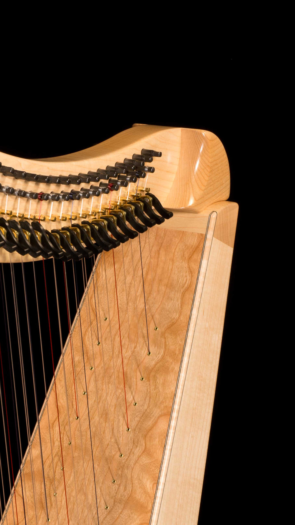 Dusty Strings FH26 Double-Strung