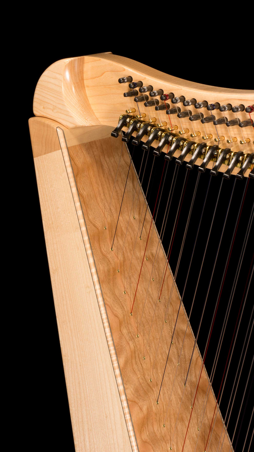 Dusty Strings FH26 Double-Strung