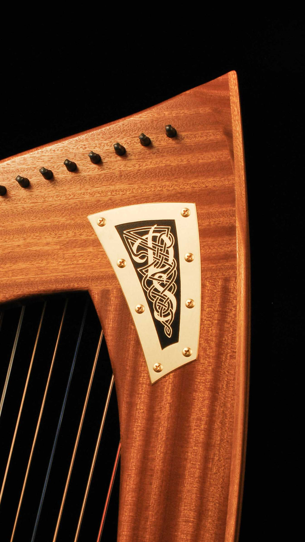 Dusty Strings FH36S