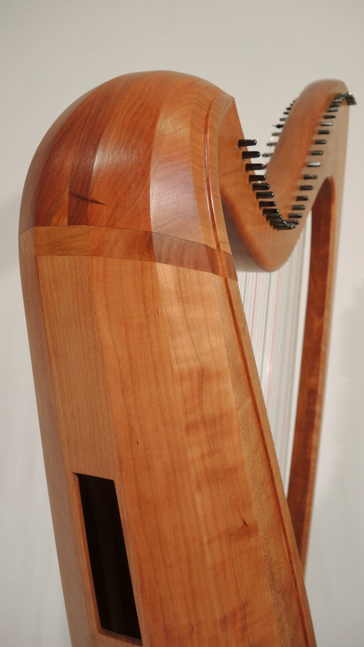 Weissgerber Arios 34 and 37