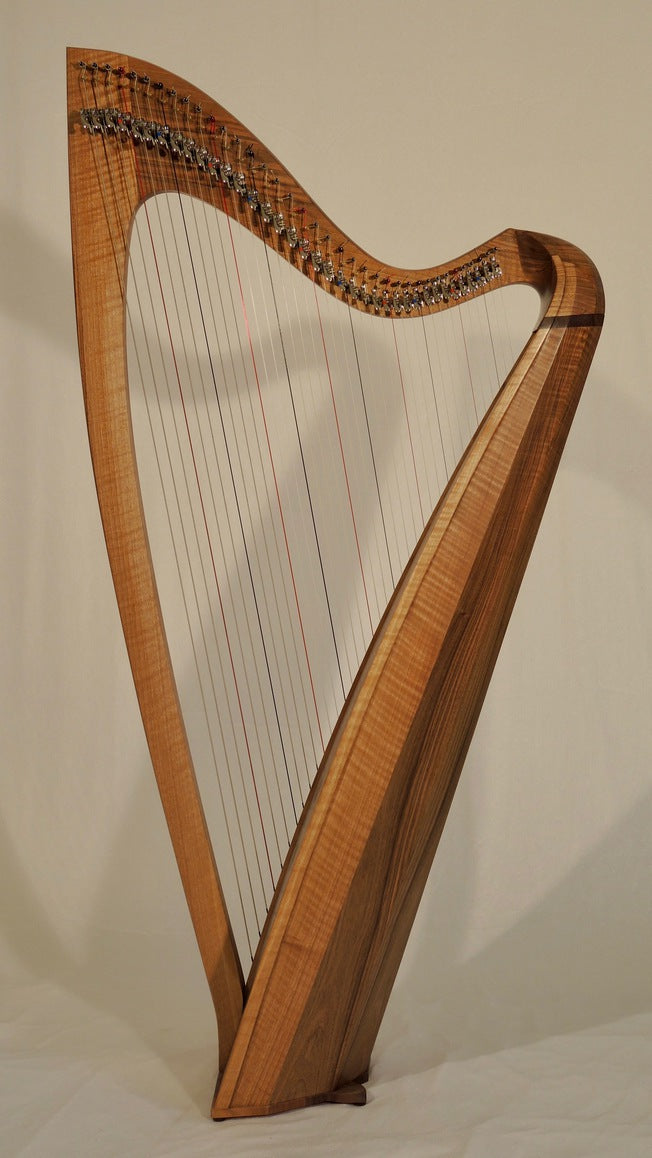 Weissgerber Arios 34 and 37