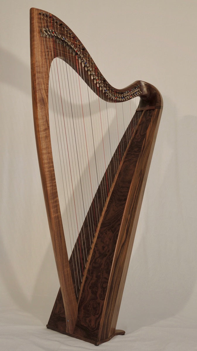 Weissgerber Arios 34 and 37