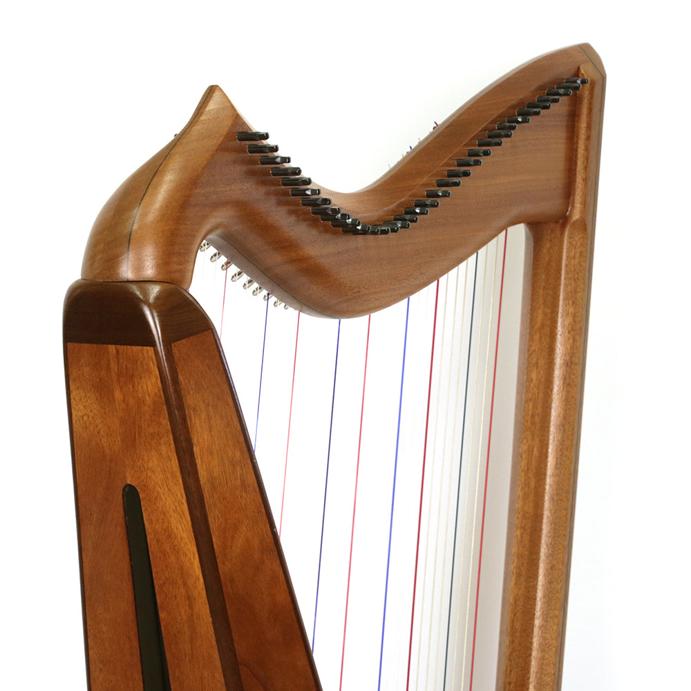 Musicmakers Jolie Ultralight Hybrid Harp (34 Strings)