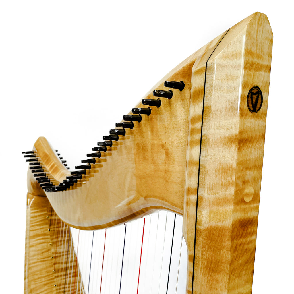 Musicmakers Jolie Harp: Christy-Lyn Edition (34 strings)