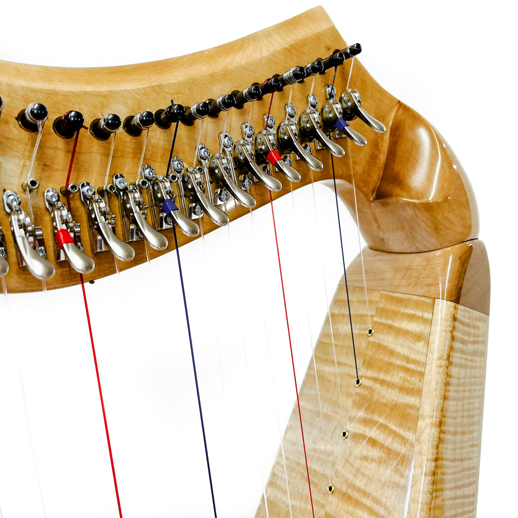 Musicmakers Jolie Harp: Christy-Lyn Edition (34 strings)